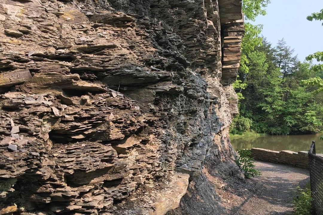 Photo of Others in South Hill