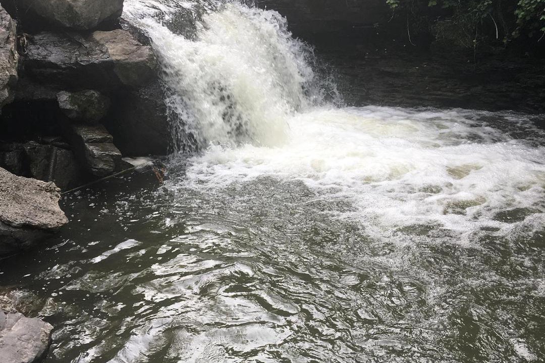 Photo of Others in South Hill