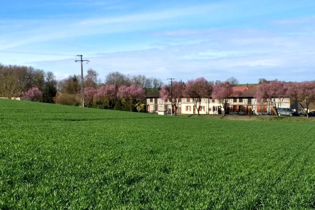 Photo of Others in Chatelraould-Saint-Louvent