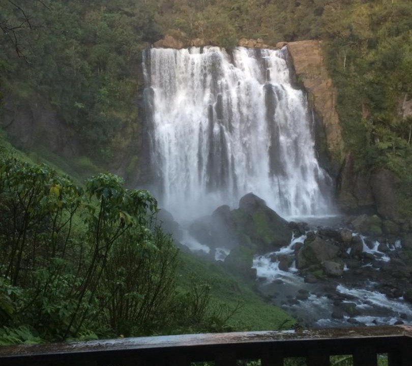 Photo of Others in Waitomo Caves