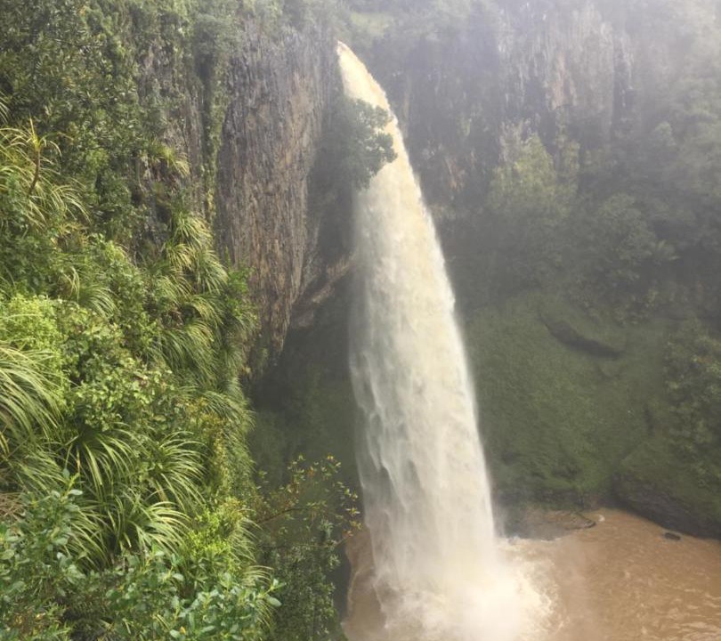 Photo of Others in Waitomo Caves