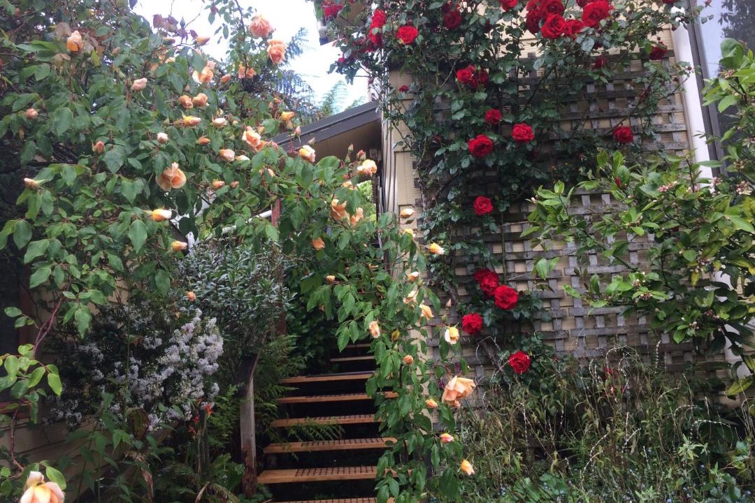 Photo of Others in Waitomo Caves