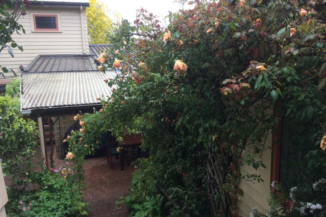 Photo of Others in Waitomo Caves
