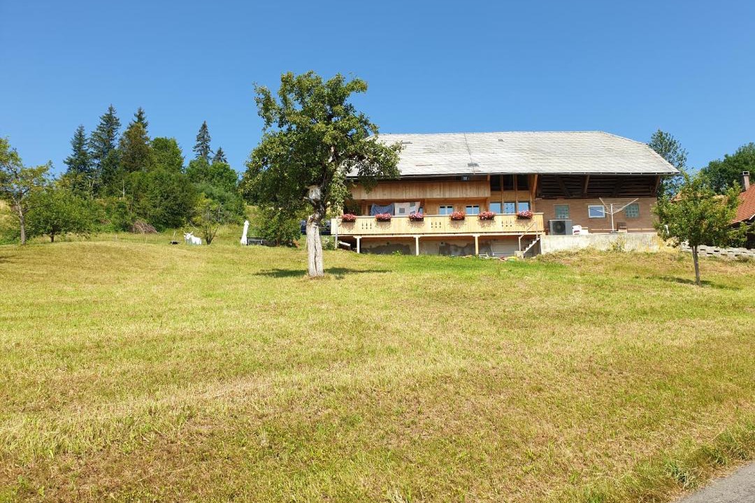 Photo of Others in Eggiwil