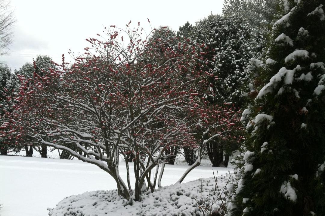 Photo of Others in Rutland