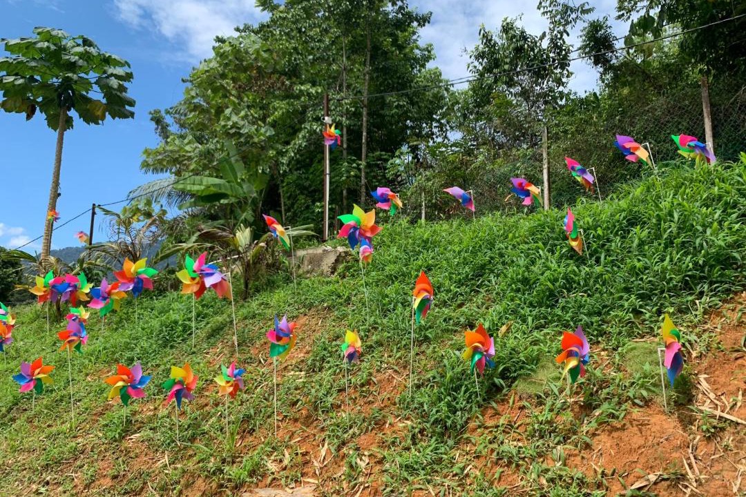 Photo of Others in Janda Baik