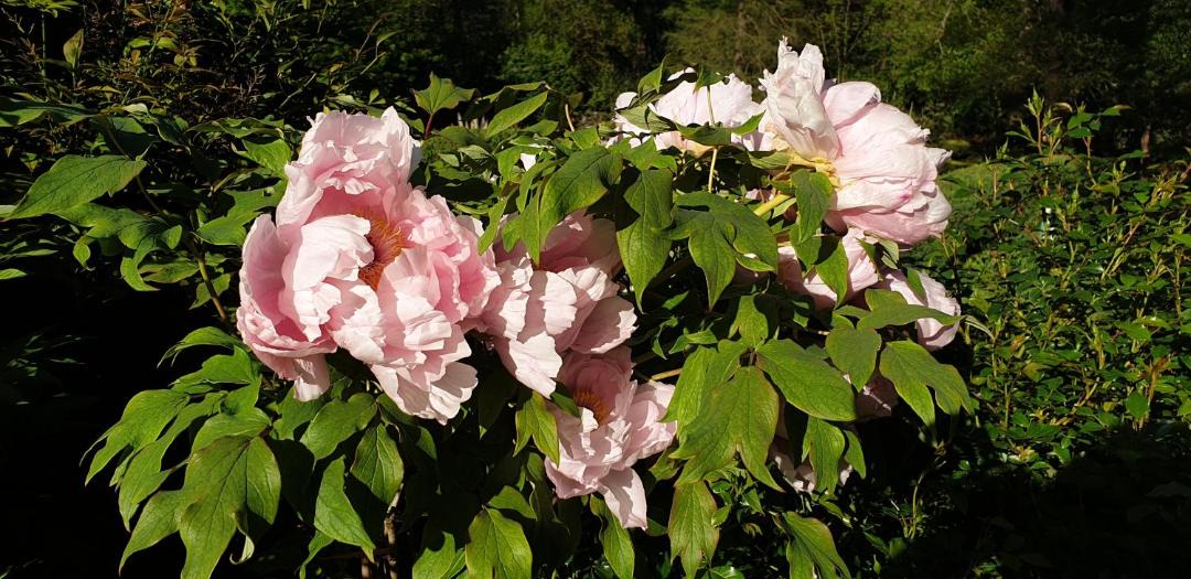 Photo of Others in Monflanquin