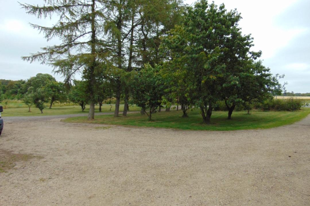 Photo of Others in Sottrupskov