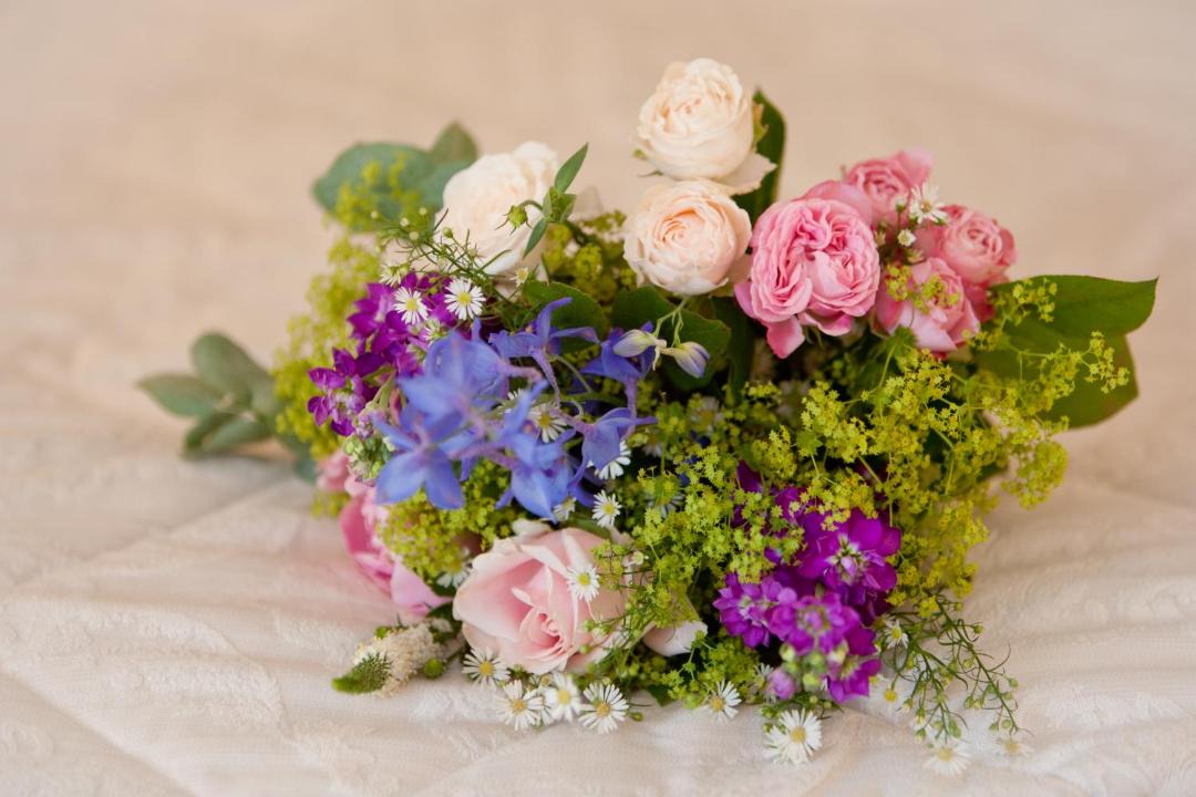 Photo of Others in Berwick-upon-Tweed