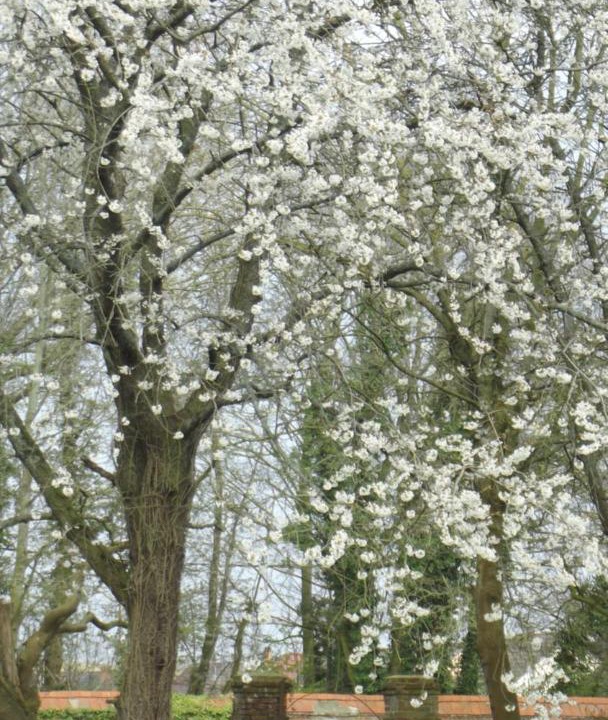 Photo of Others in Ferfay