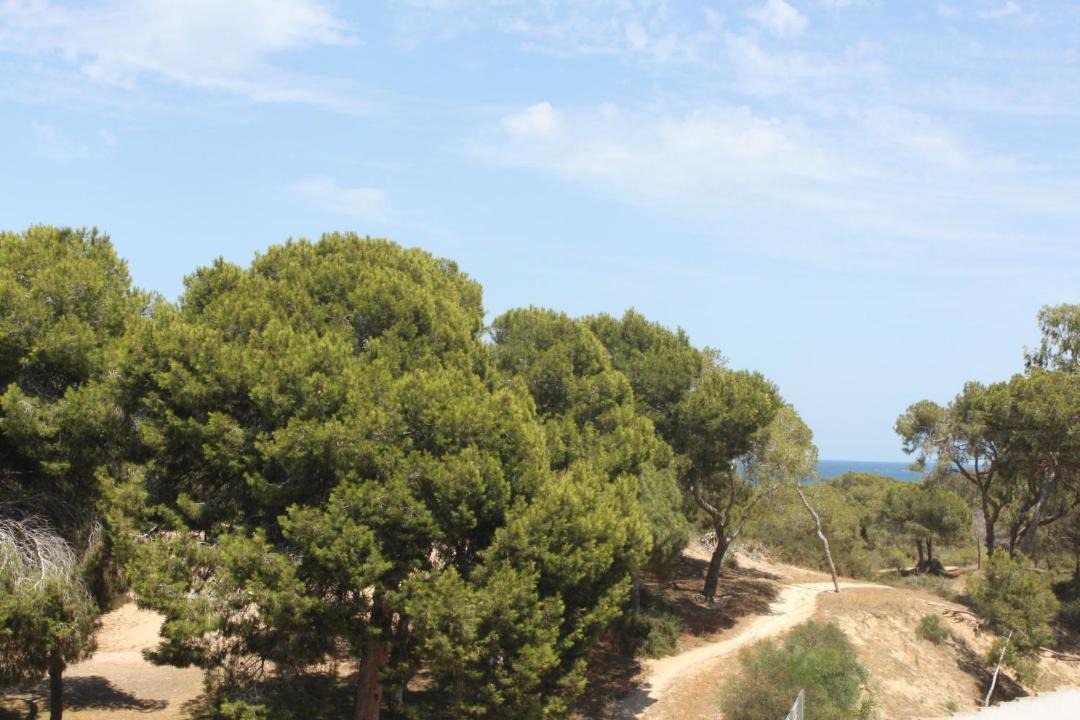Photo of Others in El Moncayo