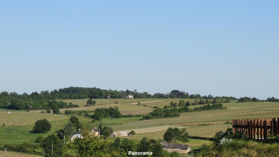 Photo of Others in Faye-d'Anjou
