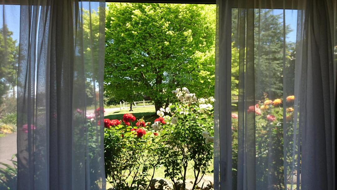 Photo of Others in Leongatha