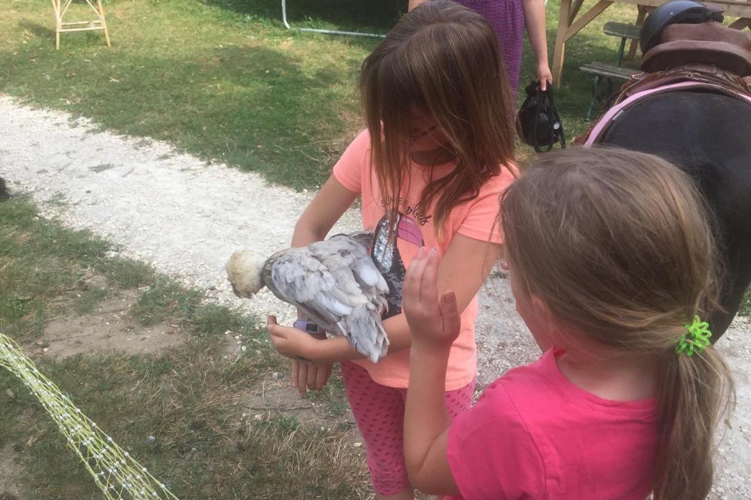 Photo of Others in Treigny