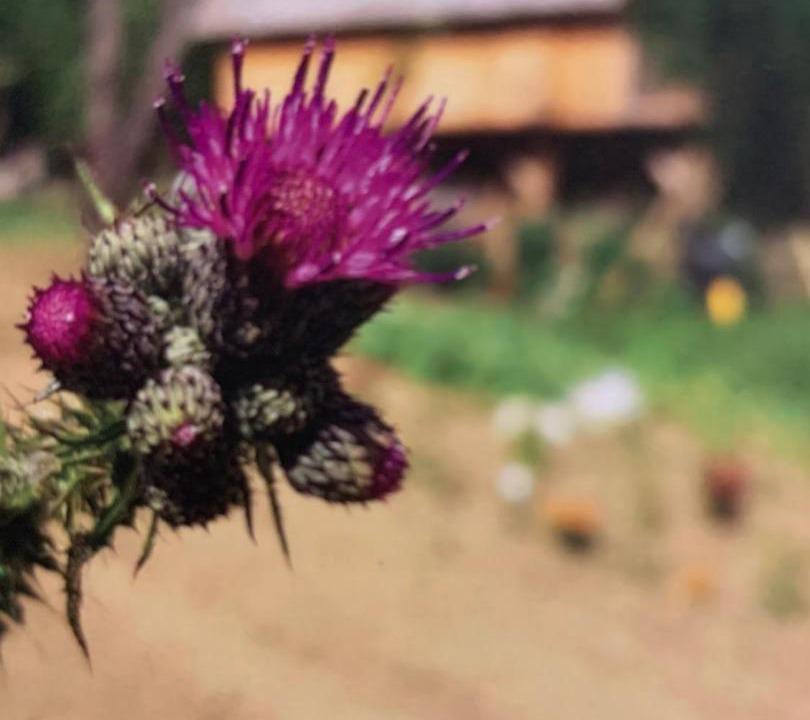 Photo of Others in Treigny