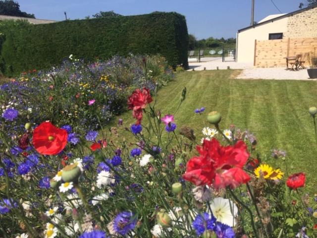 Photo of Others in Sainte-Mere-Eglise