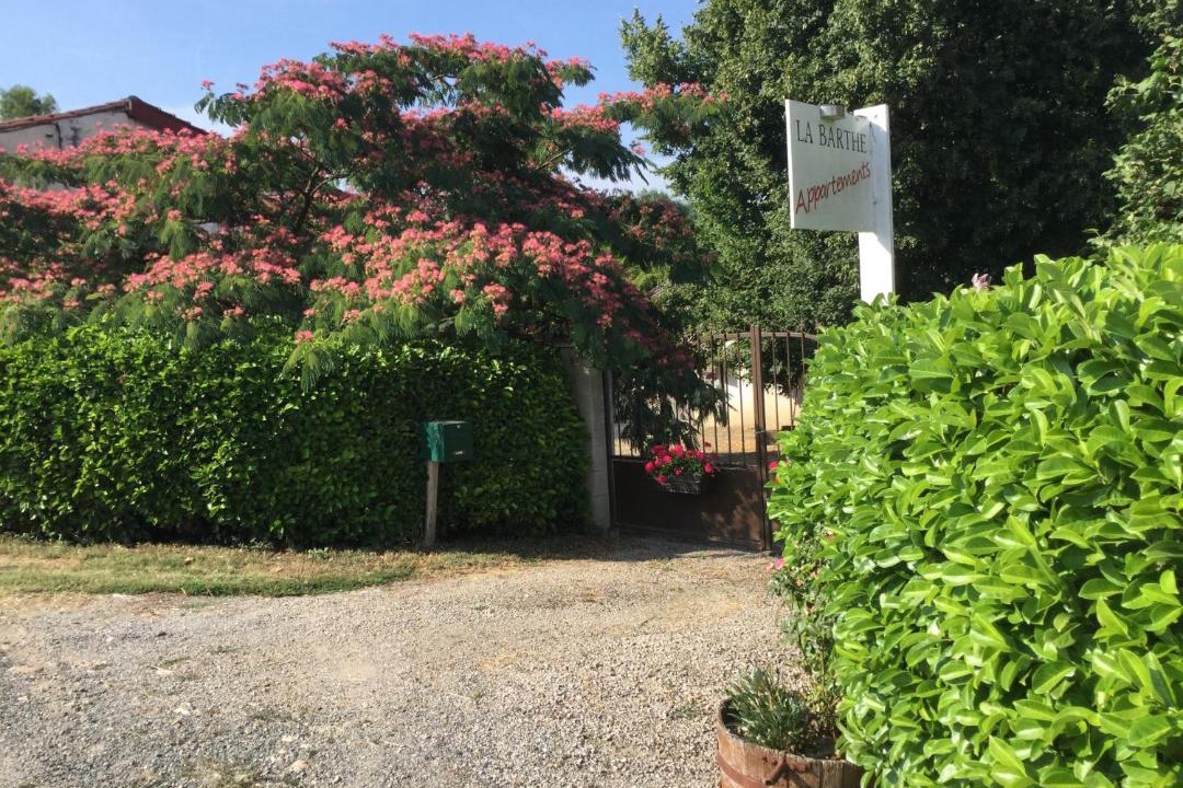 Photo of Outdoor in Puycalvel