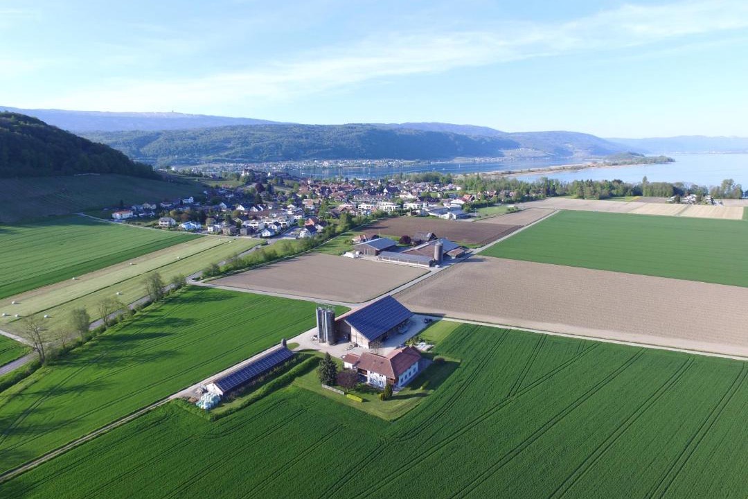 Photo of Others in Erlach