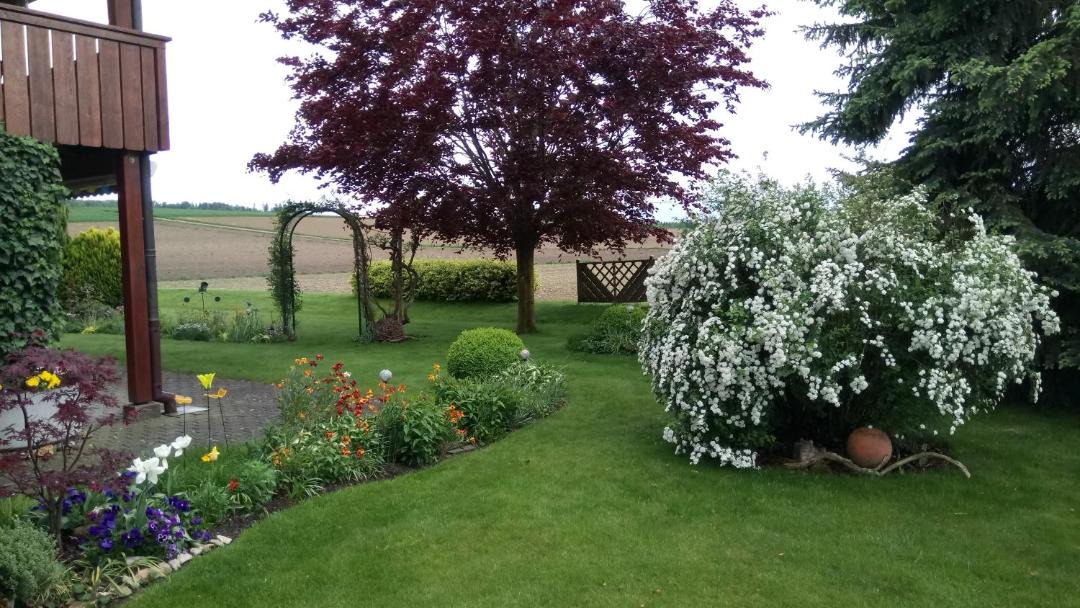 Photo of Others in Erlach