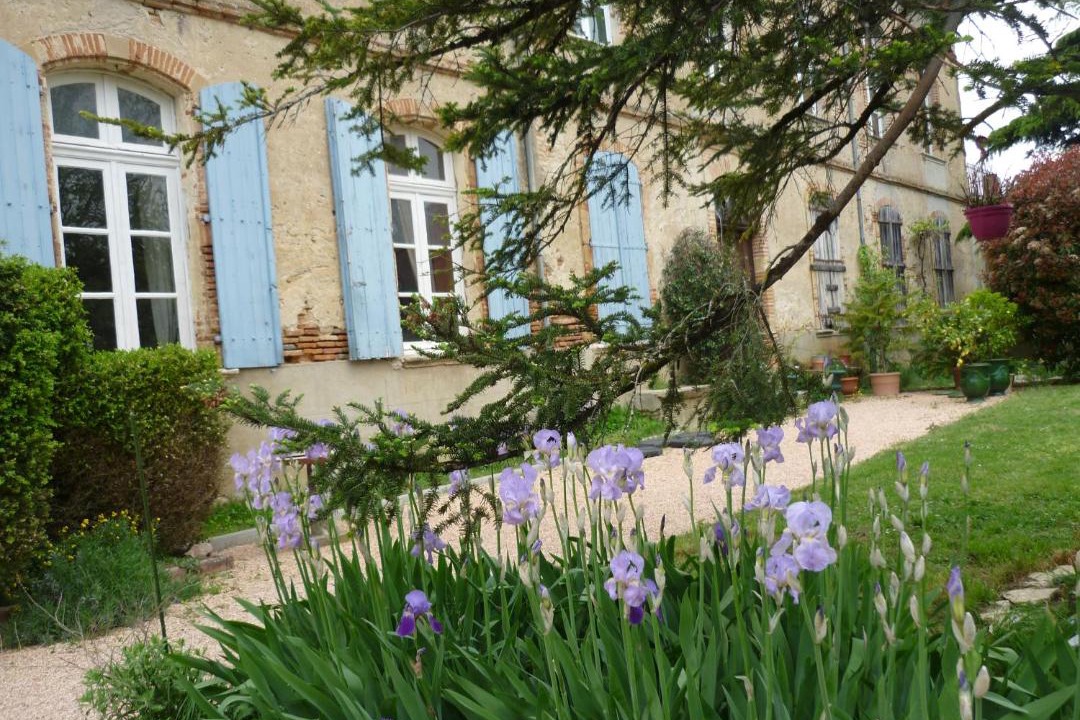 Photo of Others in Vallegue