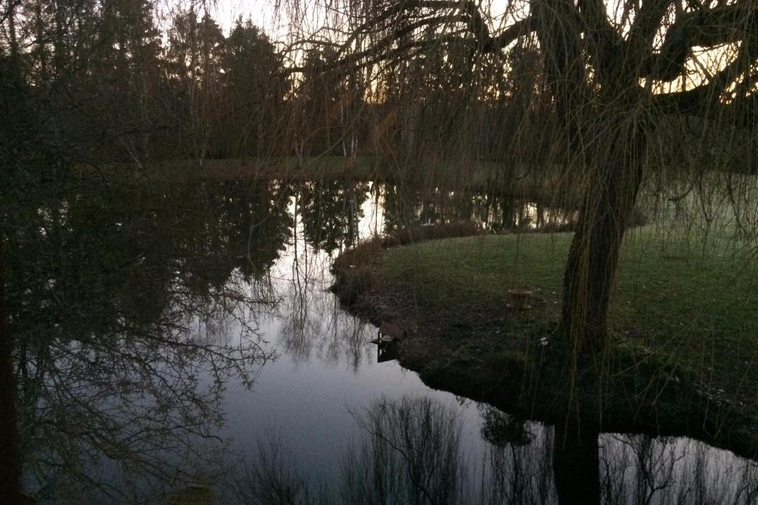 Photo of Others in Courtenay