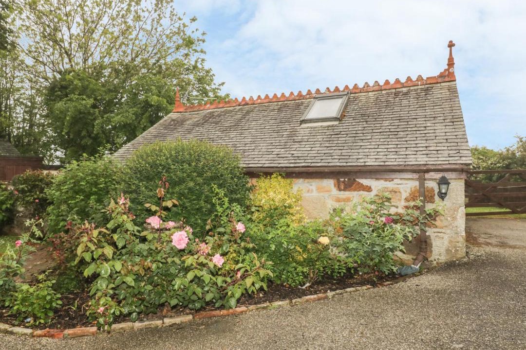 Photo of Others in Newquay