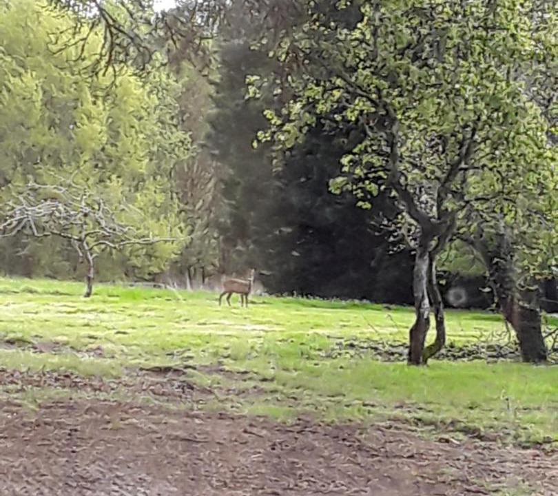 Photo of Others in Villenave