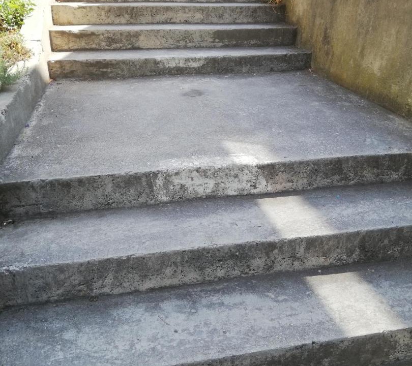 Photo of Others in Miholascica