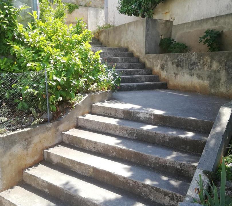 Photo of Others in Miholascica