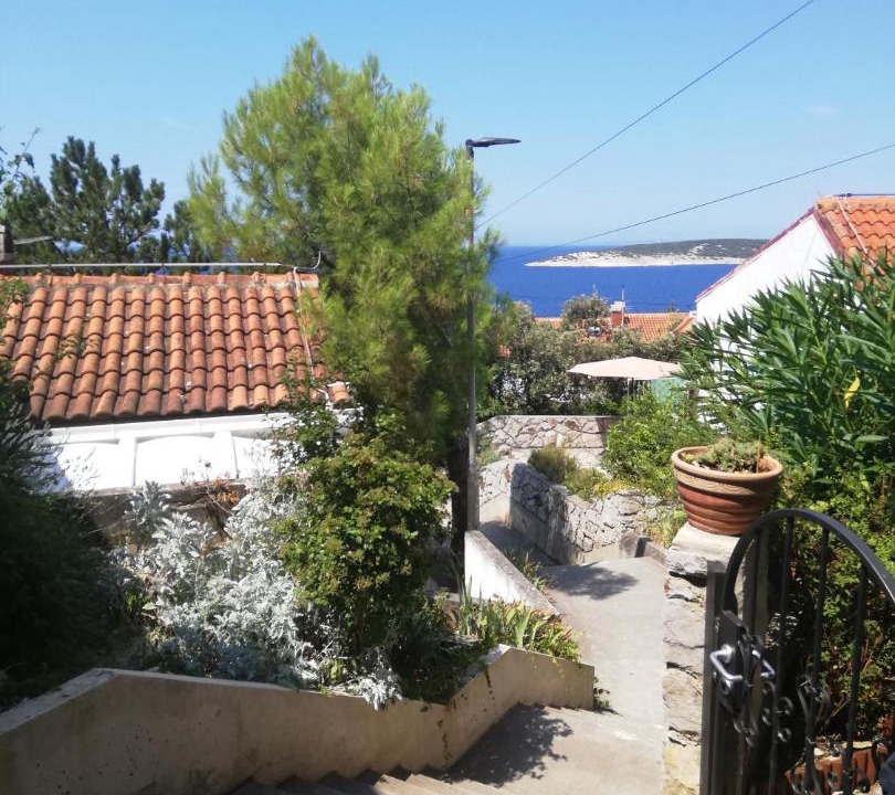 Photo of Others in Miholascica