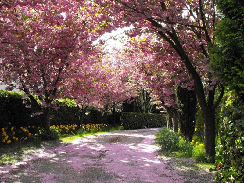 Photo of Others in Hornby