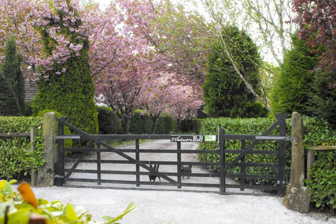 Photo of Others in Hornby