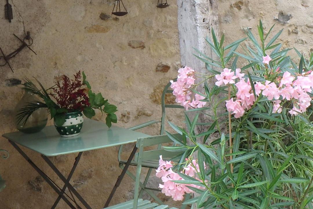 Photo of Others in Luynes