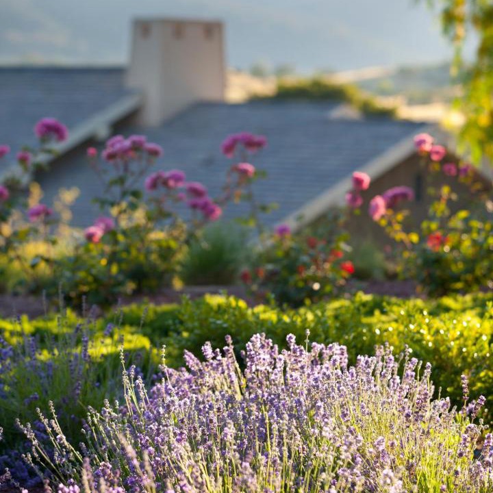 Photo of Others in Menlo Park