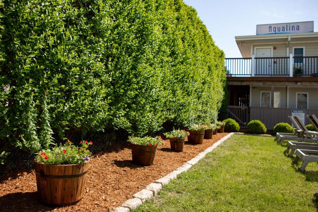 Photo of Others in Montauk