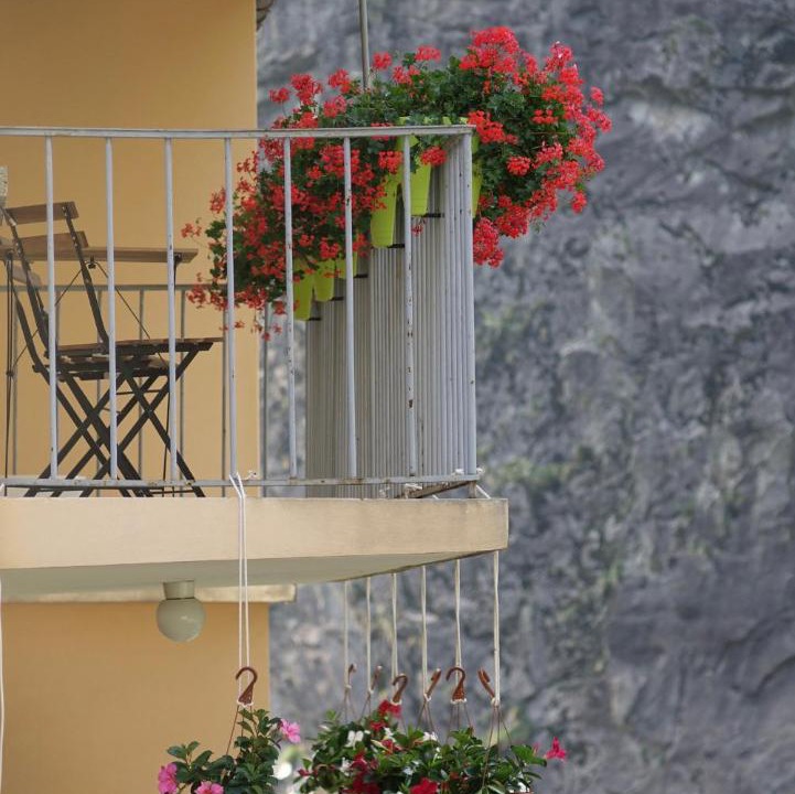 Photo of Patio Balcony in Gondo