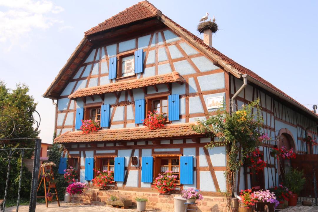Photo of Buildings in Sarre-Union