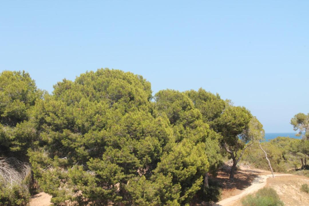 Photo of Others in El Moncayo