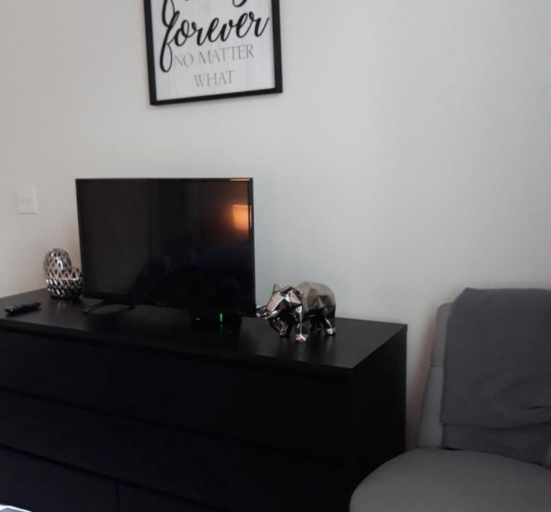Photo of Livingroom in SoNo