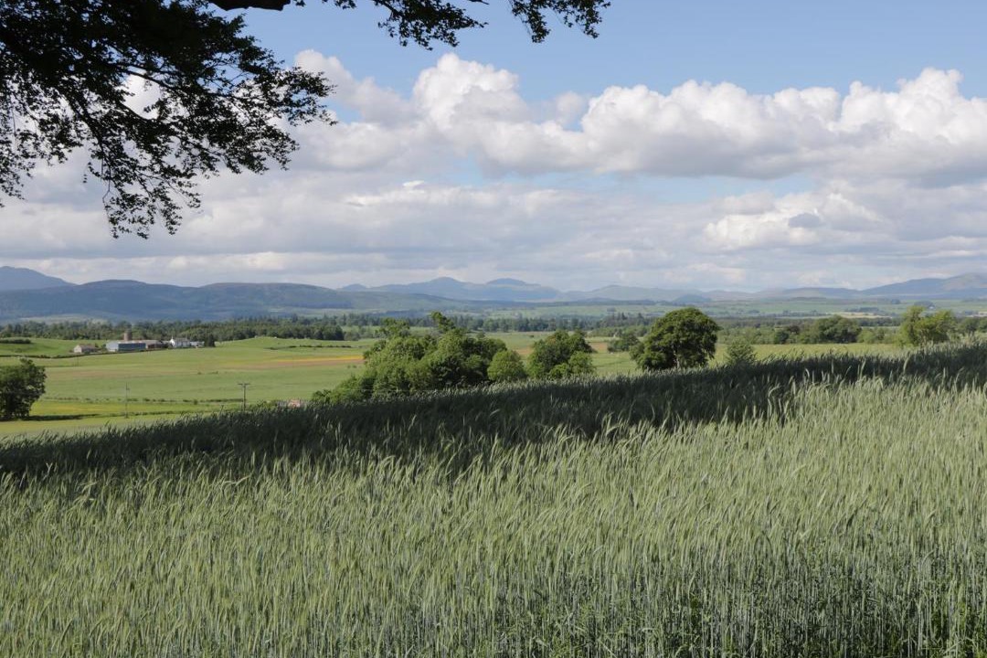 Photo of Outdoor in Gartocharn