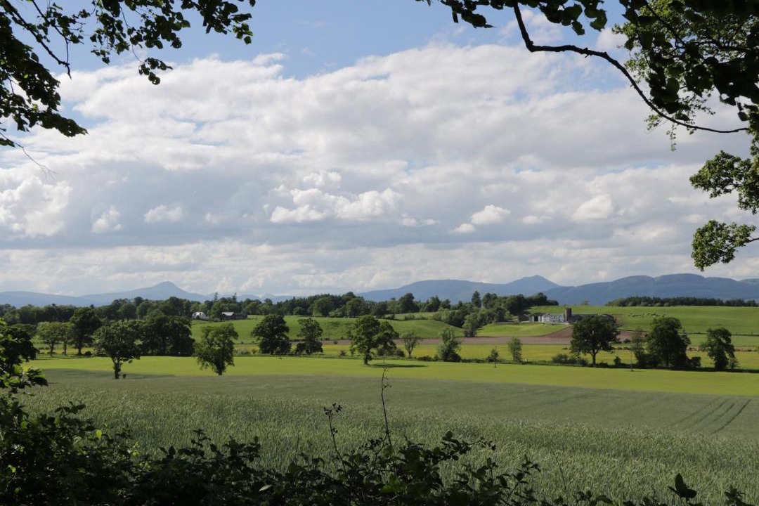 Photo of Others in Gartocharn