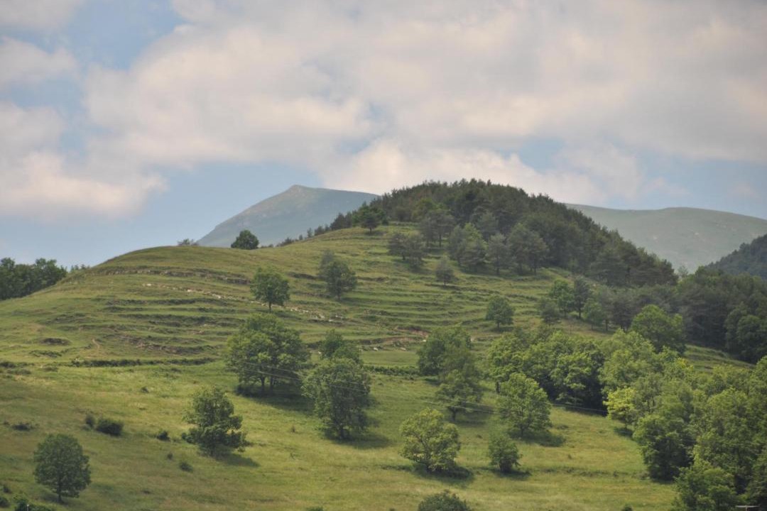 Photo of Outdoor in Sant Joan de Les Abadesses