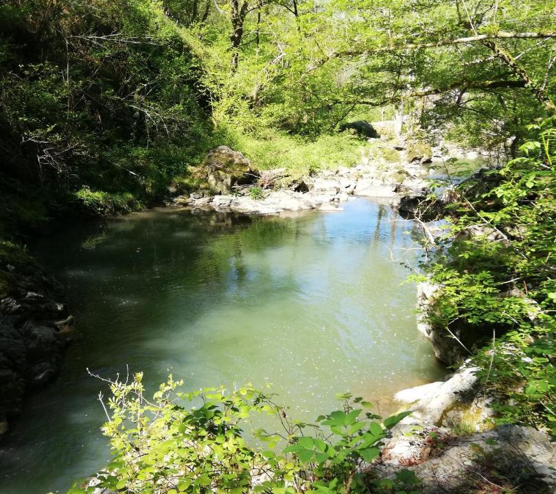 Photo of Others in Osses