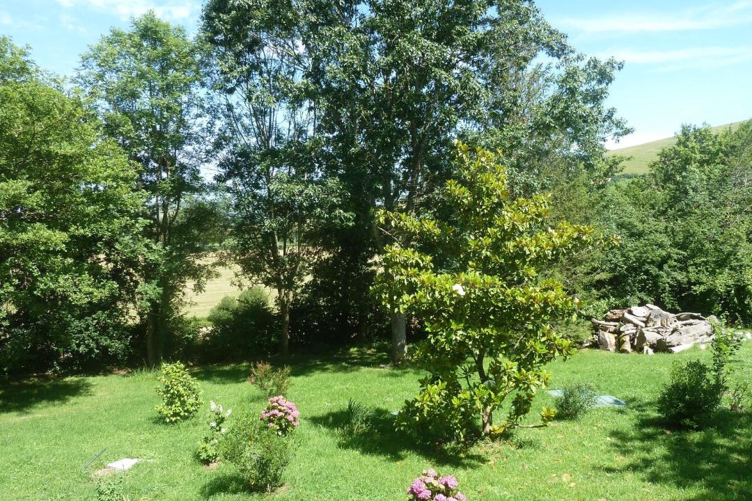 Photo of Others in Osses