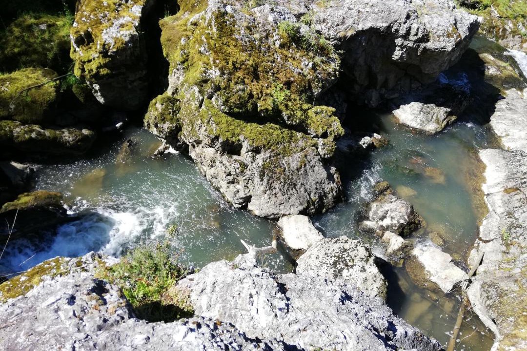 Photo of Others in Osses