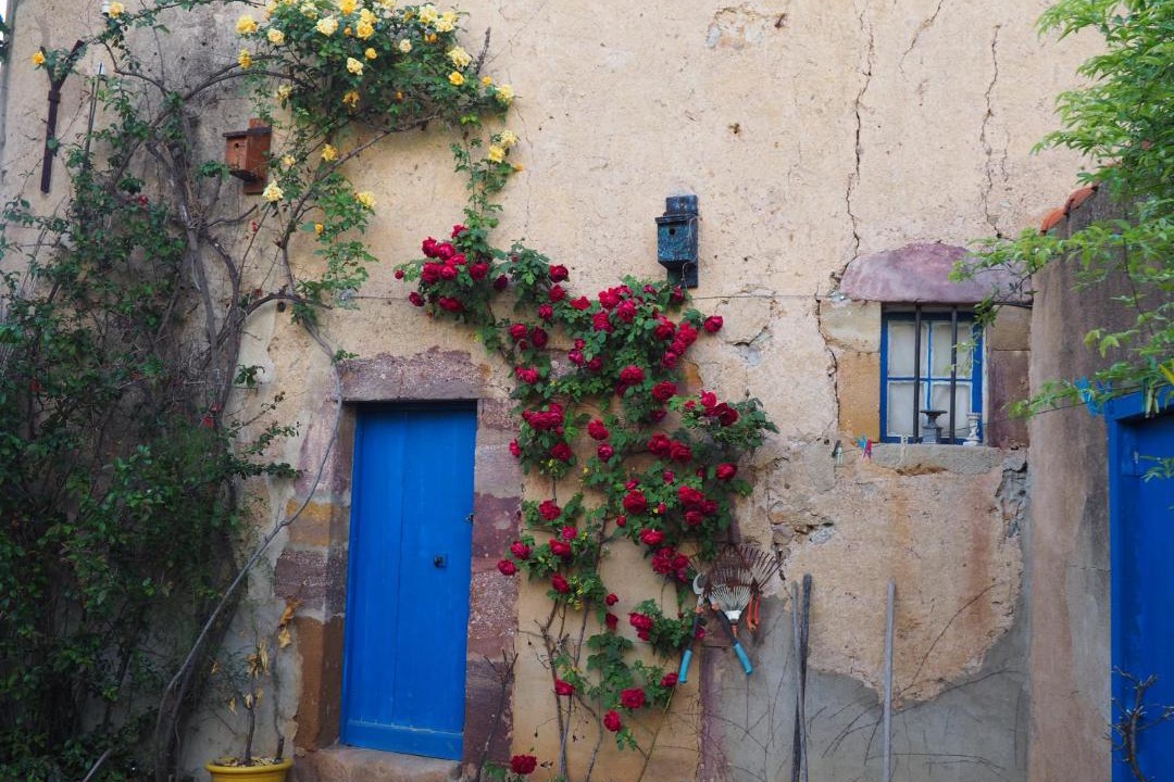 Photo of Others in Saint-Chinian