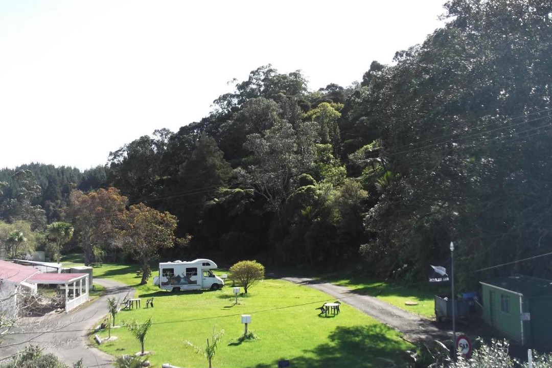 Photo of Others in Whitianga