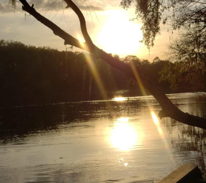 Photo of Others in O Brien