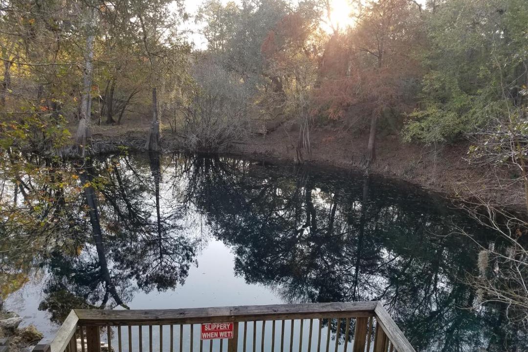 Photo of Others in O Brien