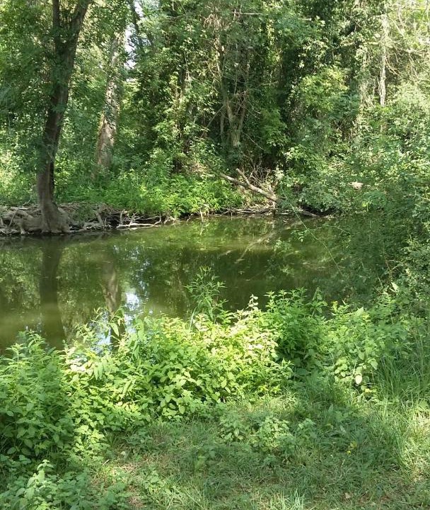 Photo of Others in Fressies